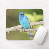 Tapis De Souris Bunting Indigo (Avec souris)