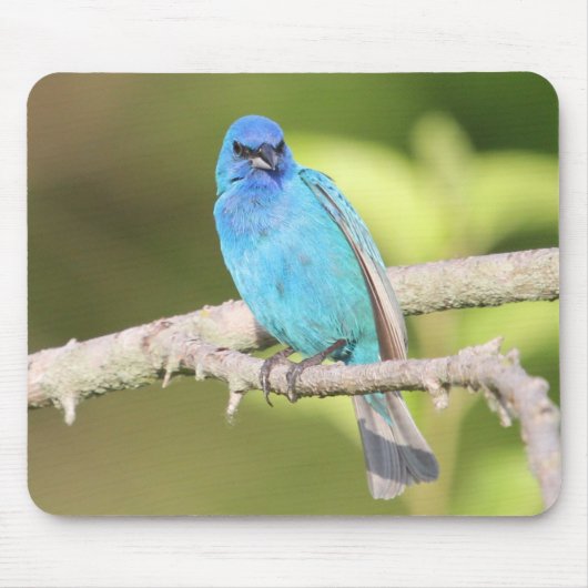 Tapis De Souris Bunting Indigo (Devant)