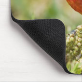 Tapis De Souris Bunting peint (Coin)