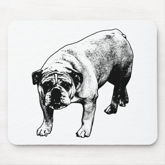 Tapis De Souris Bureau Neige calme (Devant)