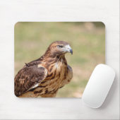 Tapis De Souris Buse à queue rouge dans la vallée de l'Hudson (Avec souris)