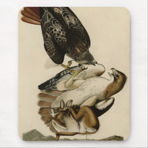 Tapis De Souris Buse à queue rouge des oiseaux d'Amérique d'Audubo