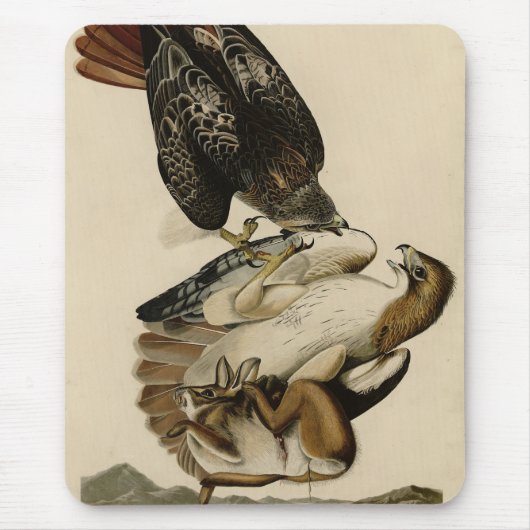 Tapis De Souris Buse à queue rouge des oiseaux d'Amérique d'Audubo (Devant)
