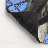Tapis De Souris Buse à queue rousse (Juevenile) (Coin)