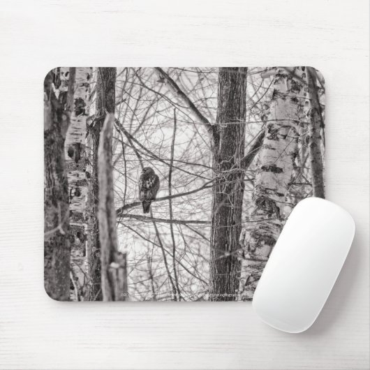 Tapis De Souris Buse à queue rousse P8443 (Avec souris)