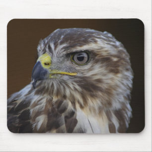 Tapis De Souris Buteo buteo