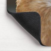 Tapis De Souris Buzzard à pattes longues (Coin)