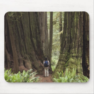 Tapis De Souris CA, parc d'État de Jedediah Smith Redwoods,