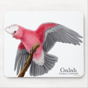 Tapis De Souris Cacatoès Mousepad de Galah