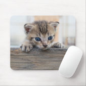 Tapis De Souris Cachotterie (Avec souris)