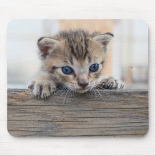 Tapis De Souris Cachotterie