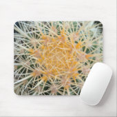 Tapis De Souris Cactus (Avec souris)