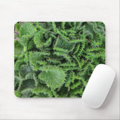 Tapis De Souris Cactus (Avec souris)