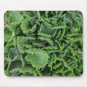 Tapis De Souris Cactus