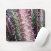 Tapis De Souris Cactus (Avec souris)
