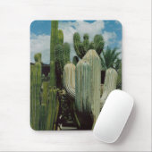 Tapis De Souris Cactus (Avec souris)