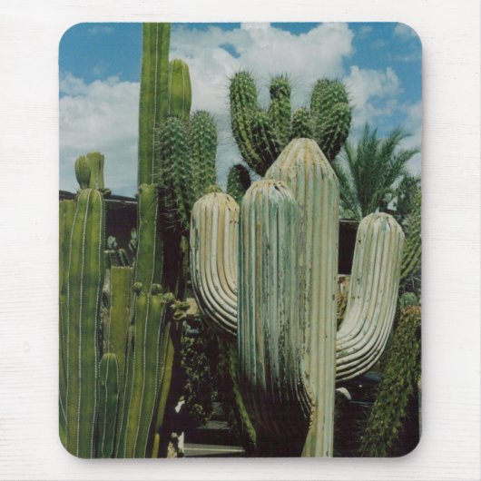 Tapis De Souris Cactus (Devant)