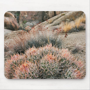 Tapis De Souris Cactus Barrel en Californie