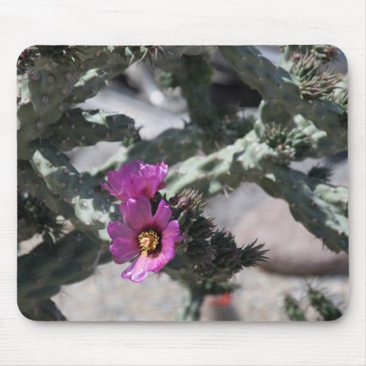Tapis De Souris Cactus Challa en fleurs (Devant)