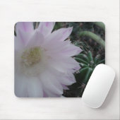 Tapis De Souris Cactus de fleur blanche (Avec souris)