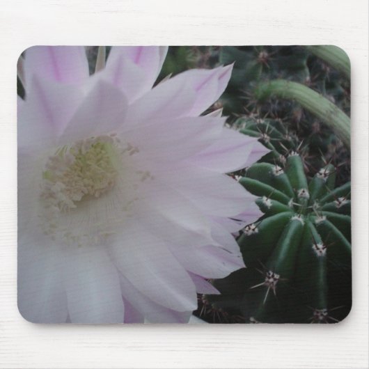 Tapis De Souris Cactus de fleur blanche (Devant)
