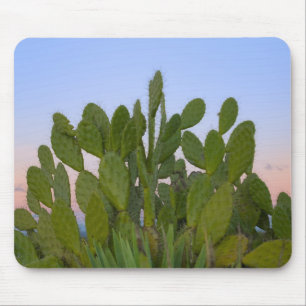 Tapis De Souris Cactus et sisal en forêt sèche