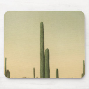 Tapis De Souris Cactus grove, Arizona