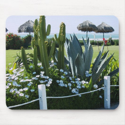 Tapis De Souris Cactus mexicain (Devant)