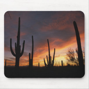 Tapis De Souris cactus saguaro, Carnegiea gigantea, après