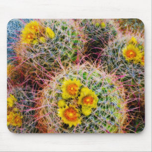 Tapis De Souris Cactus tonneau en gros plan, Californie