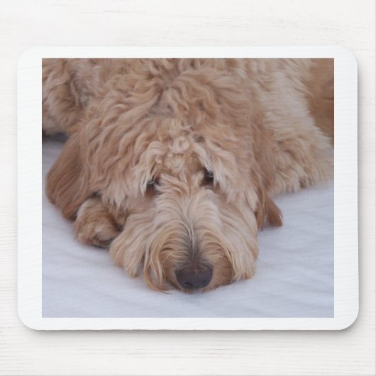 Tapis De Souris Cadeau de chien de GoldenDoodle Mousepads/tapis de (Devant)