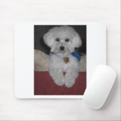 Tapis De Souris Cadeau maltais (Avec souris)