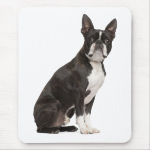 Tapis De Souris Cadeau mignon pour amateur de chien Boston Terrier