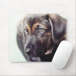 Tapis De Souris Cadeau photo personnalisé<br><div class="desc">Ajoutez votre photo de famille préférée pour créer une photo unique d'un ordinateur portable mousepad pour vous-même ou un cadeau personnalisé pour quelqu'un de spécial! Cliquez sur le bouton CUSTOMISER IT pour ajouter votre nom ou votre texte personnalisé pour une conception encore plus personnalisée.</div>