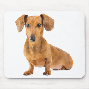 Tapis De Souris Cadeau pour amateur de chien teckel Doxin Mignon W
