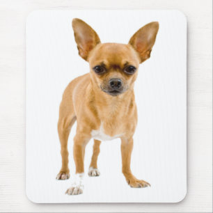 Tapis De Souris Cadeau pour amateur de chiots mignons Drôle de sou