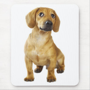 Tapis De Souris Cadeau pour amateur de Wiener Chien Mignon Doxie D