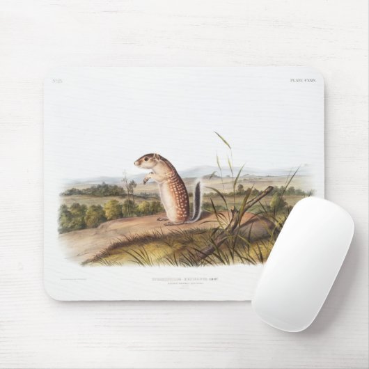 Tapis De Souris Cadeaux Camping Déco Marmot Squirrel Mexicain (Avec souris)