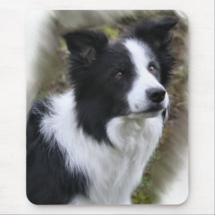 Tapis De Souris Cadeaux d'art de border collie