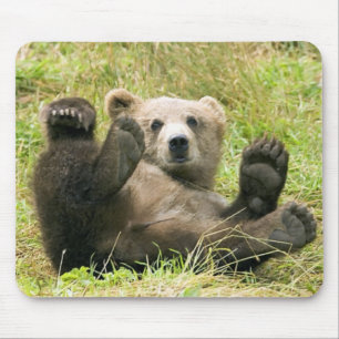 Tapis De Souris Cadeaux de Brown_Bear_Kodiak_NWR