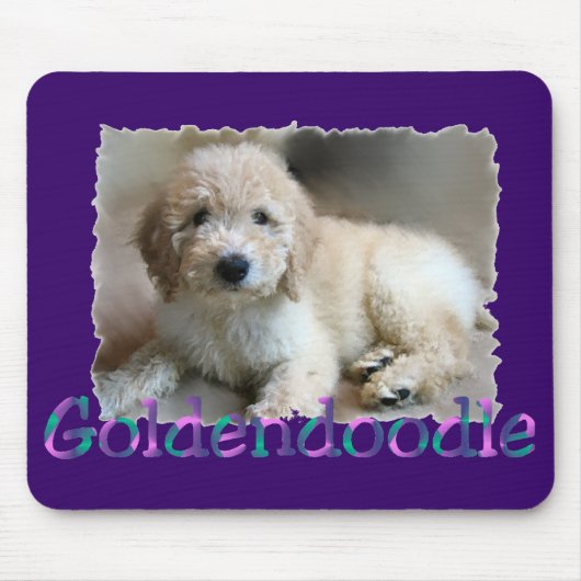 Tapis De Souris Cadeaux Goldendoodle (Devant)