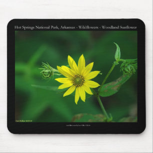 Tapis De Souris Cadeaux tournesol boisé du parc national de Hot Sp