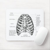 Tapis De Souris Cage thoracique (Avec souris)