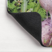 Tapis De Souris Cailles du nord (Coin)