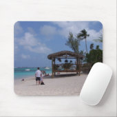 Tapis De Souris Caïman (Avec souris)