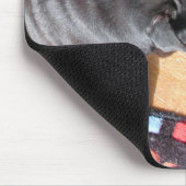 Tapis De Souris Calendrier Chien 2011 - Chinese Shar Pei (Coin)