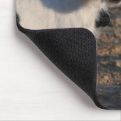 Tapis De Souris Calendrier des chiens 2011 - Parson Jack Russell T (Coin)