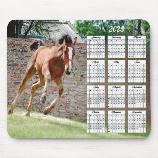 Tapis De Souris Calendrier d'exécution du Colt 2025