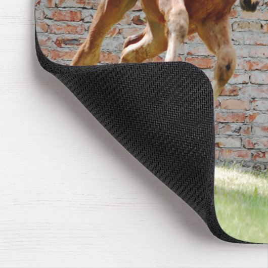 Tapis De Souris Calendrier d'exécution du Colt 2026 (Coin)