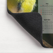 Tapis De Souris Calendrier Little Blue Tit Bird 2024 (Coin)